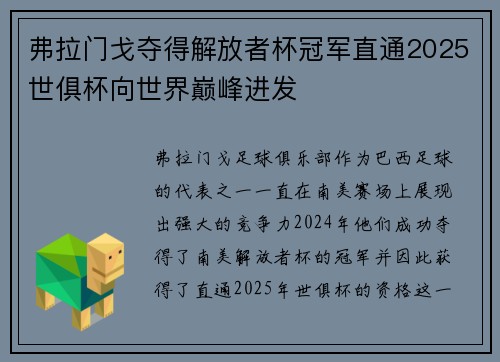 弗拉门戈夺得解放者杯冠军直通2025世俱杯向世界巅峰进发